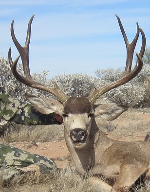 Hermosillo - Gray Ghost Safaris - wild game hunting and fishing adventures